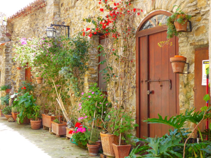 Mediterrane Lebensweise - Gasse mit Blumen Willkommen im Süden: Mediterranes Ambiente in Castellabate, eine Gemeinde in der Provinz Salerno/Region Kampanien.
