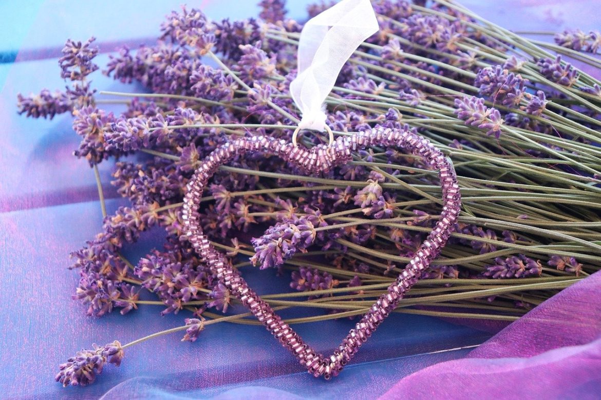 Lavendel ist mediterranes Gewürz sowie Heil- und Zierpflanze