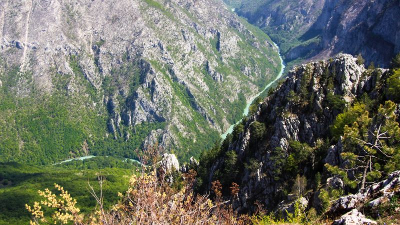 Tara-Schlucht in Montenegro