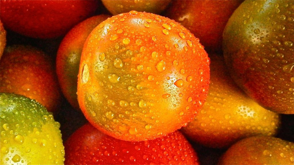 Tomaten können auch orange sein.